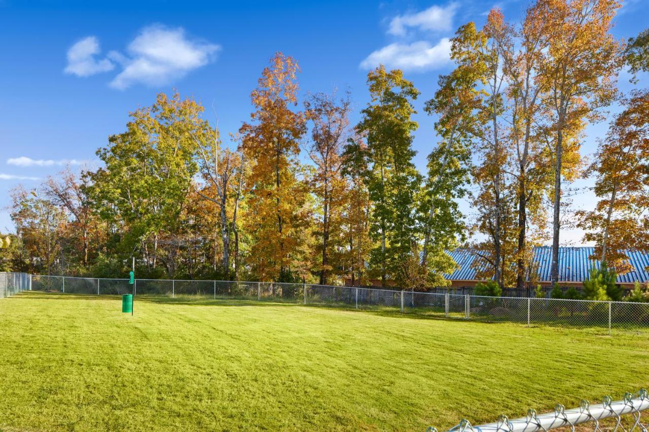 Staybridge - - Area By Ihg Auburn